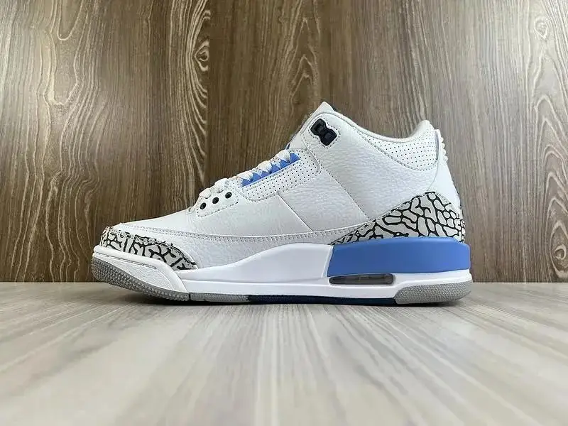 Air Jordan 3 (12 style)