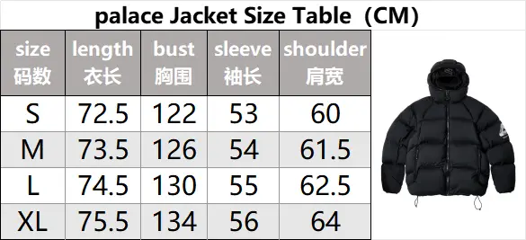 Palace Puffer Jacket 3